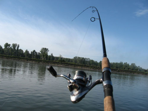 Спортивная рыбалка со спиннингом - полезная информация